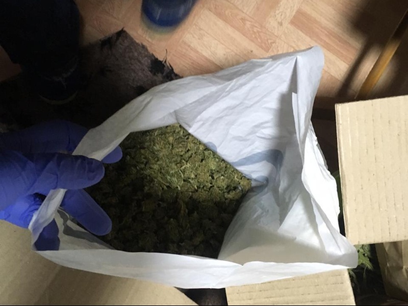при обыске в доме полицейские нашли марихуану